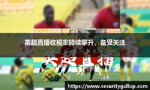 bb贝博官网