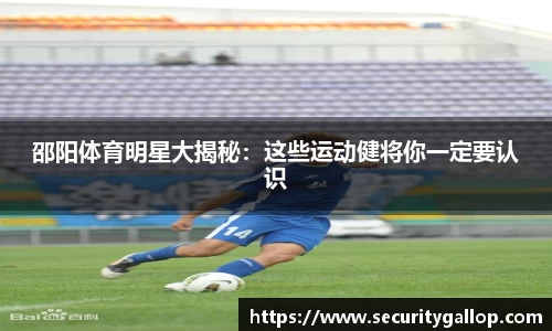 艾弗森贝博ballbet官网